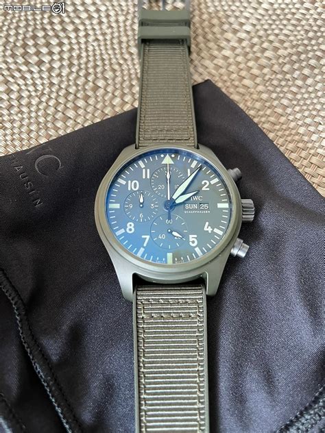 iwc woodland paint